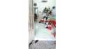 Ngộp Bán Nhà Hẻm Xe Hơi 60m2_4*15 chỉ 3.95 Tỷ Lã Xuân Oai Tăng Nhơn Phú A Thủ Đức Vào Ở Ngay